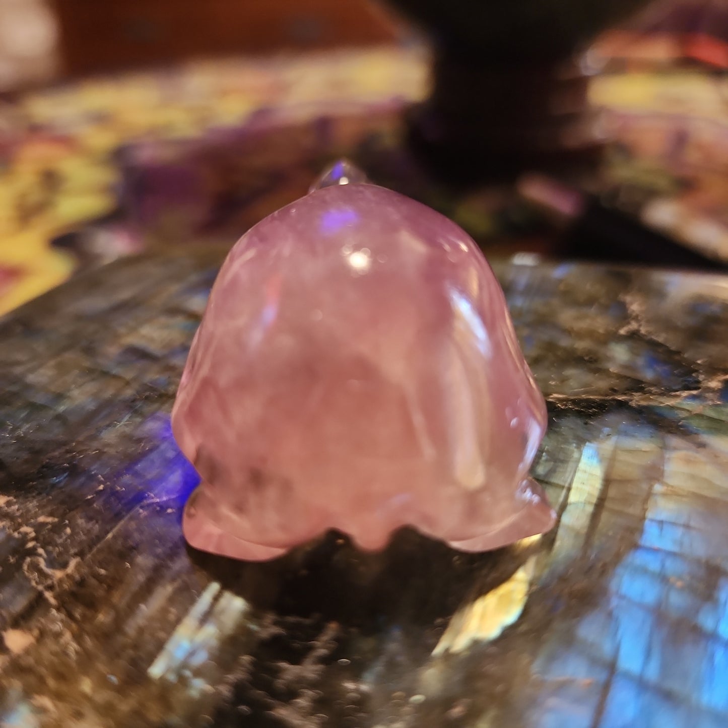 Rainbow 🌈 Fluorite Turtle Carving