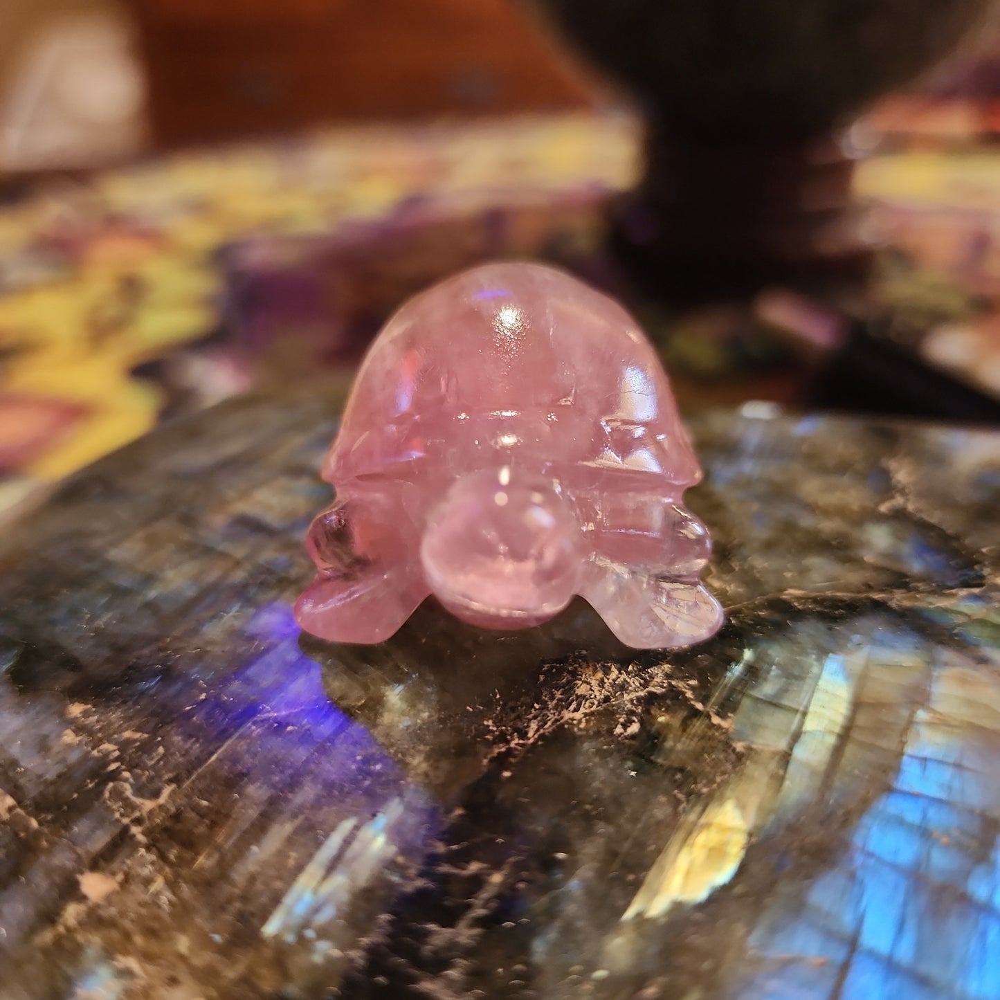 Rainbow 🌈 Fluorite Turtle Carving