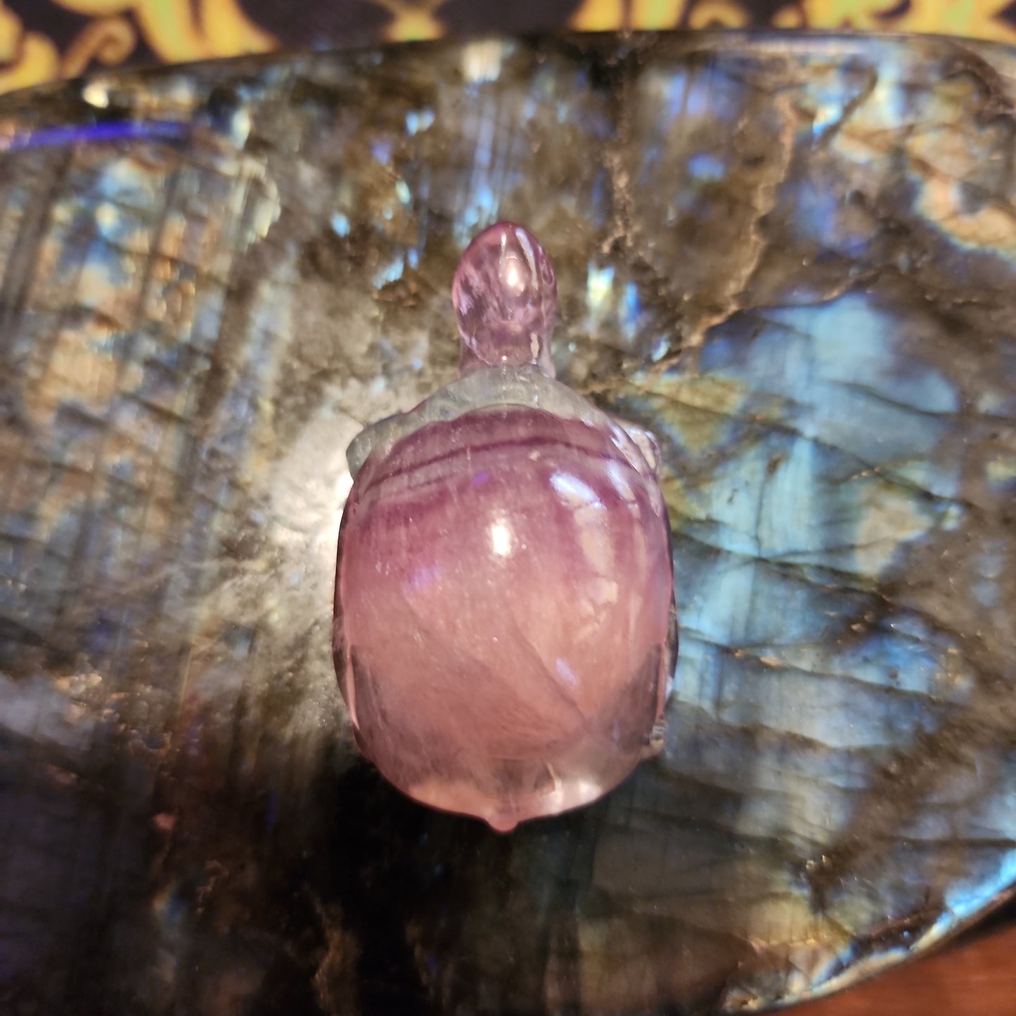 Rainbow 🌈 Fluorite Turtle Carving