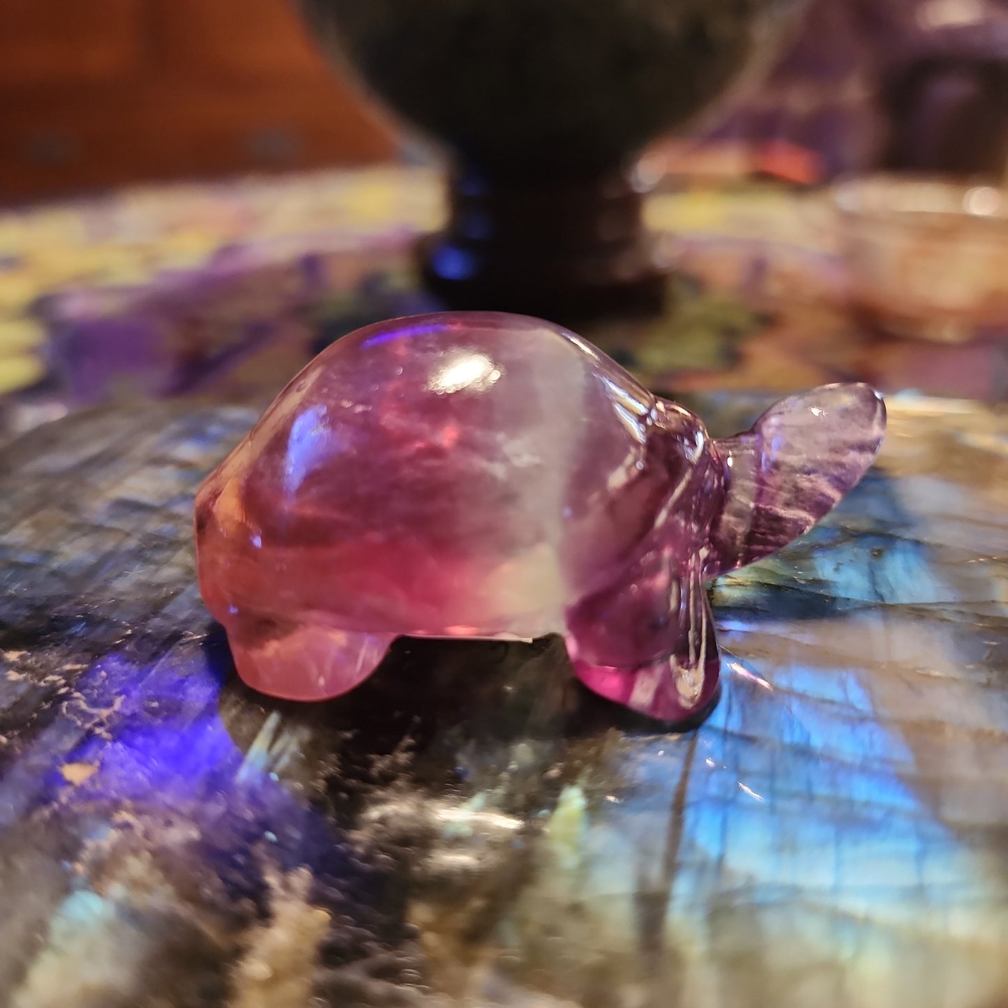 Rainbow 🌈 Fluorite turtle carving