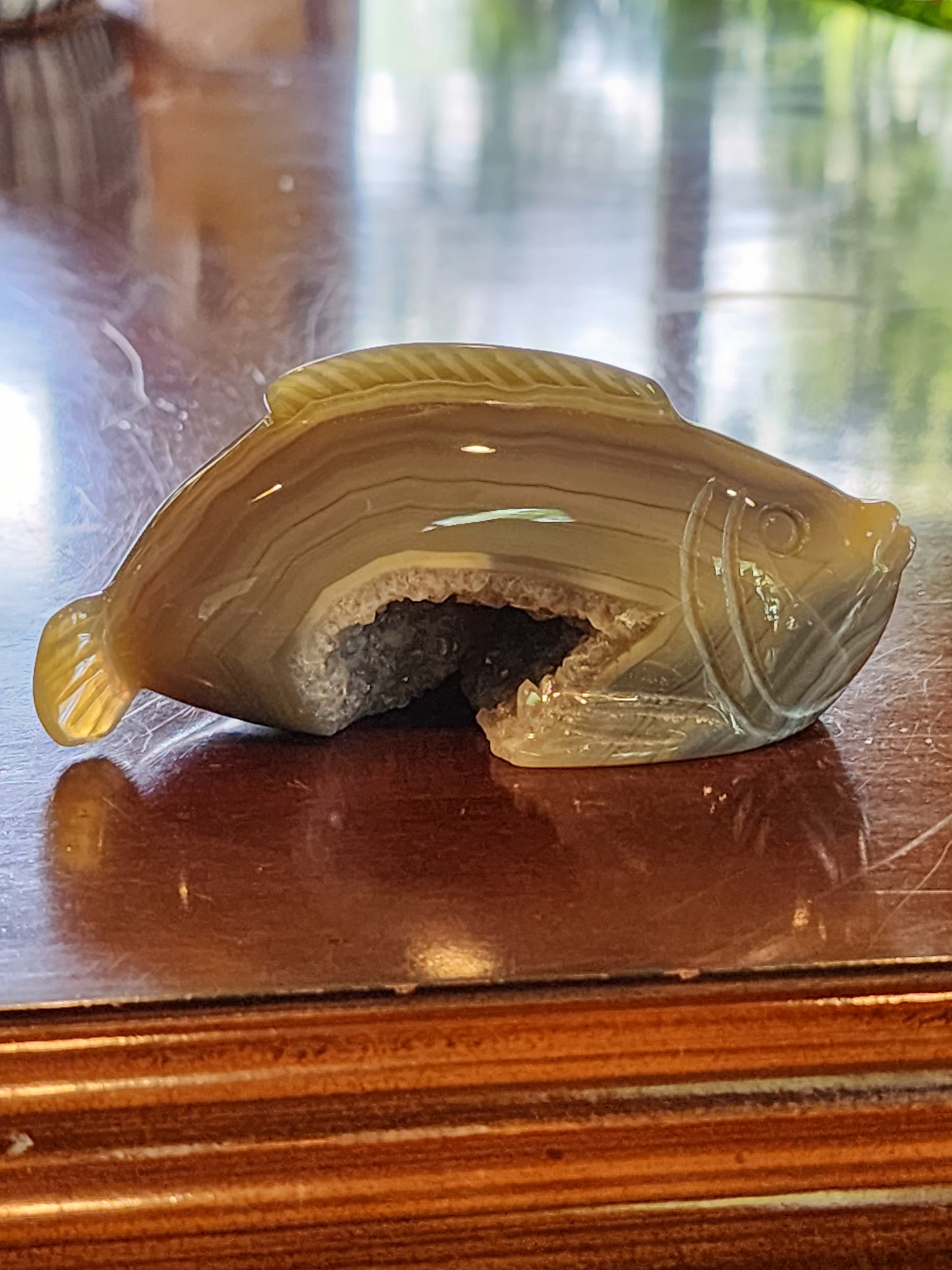 Banded Druzy Agate Fish Carving