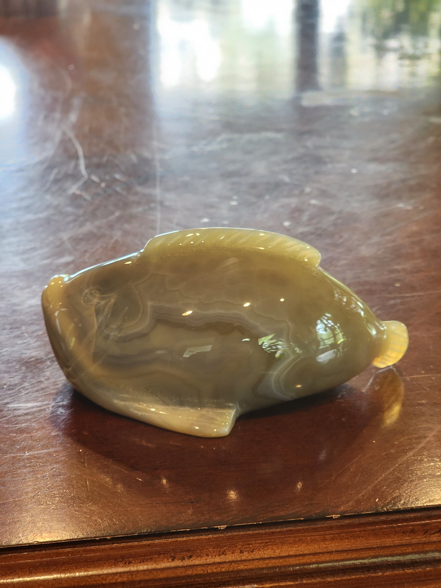Banded Druzy Agate Fish Carving