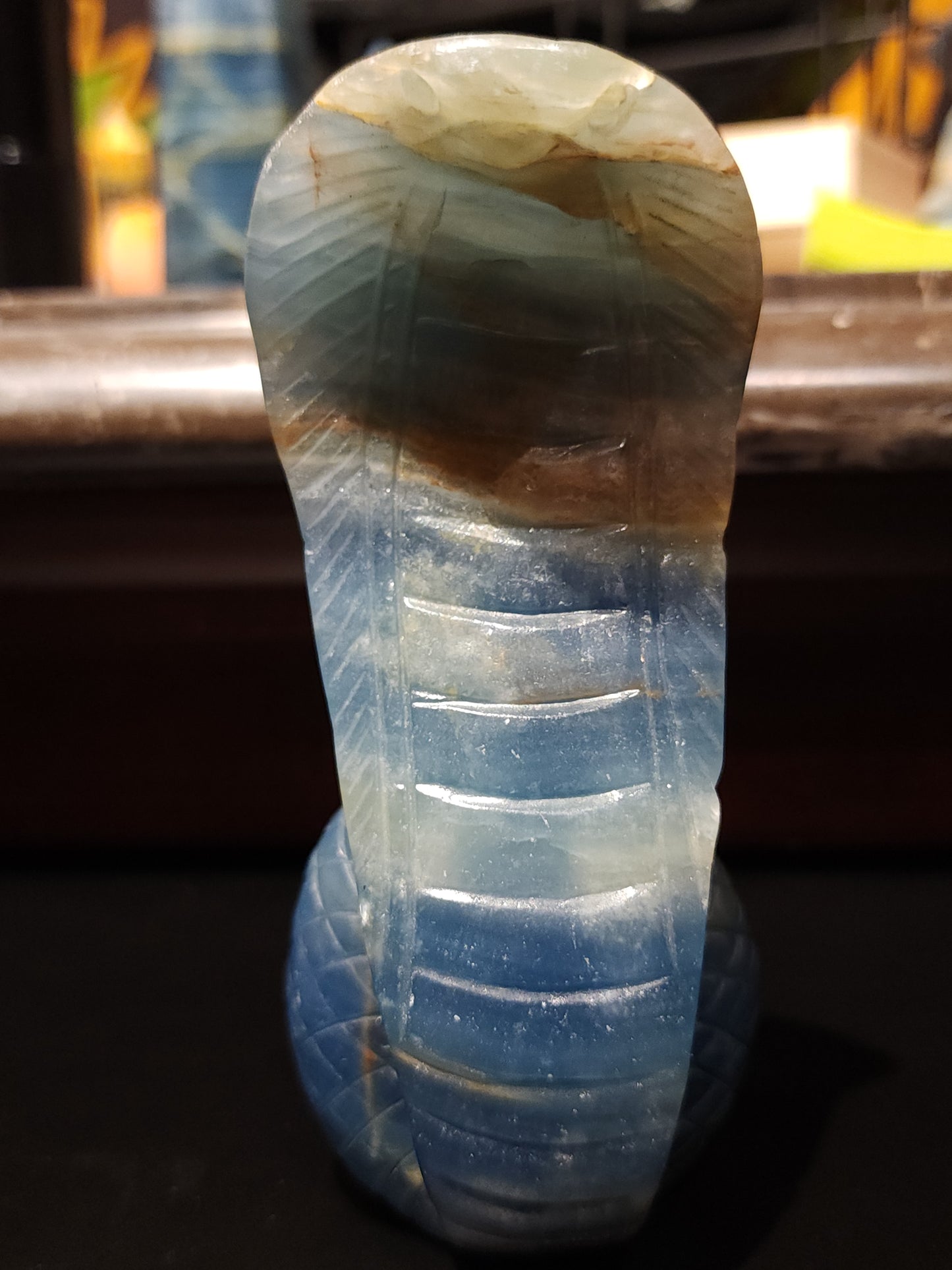 Blue onyx cobra