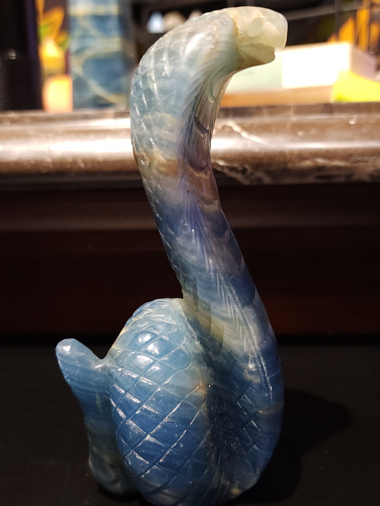 Blue onyx cobra