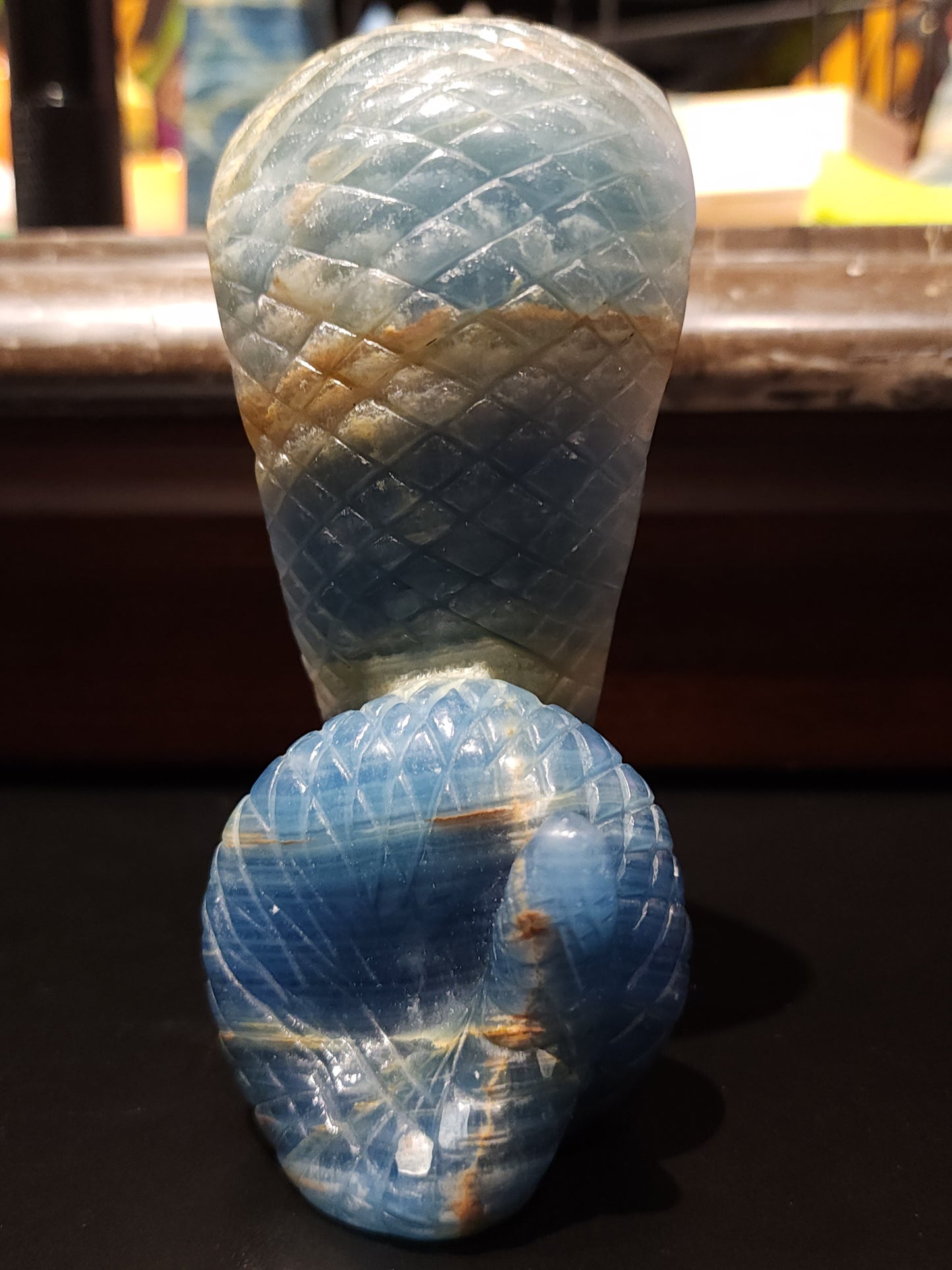 Blue onyx cobra