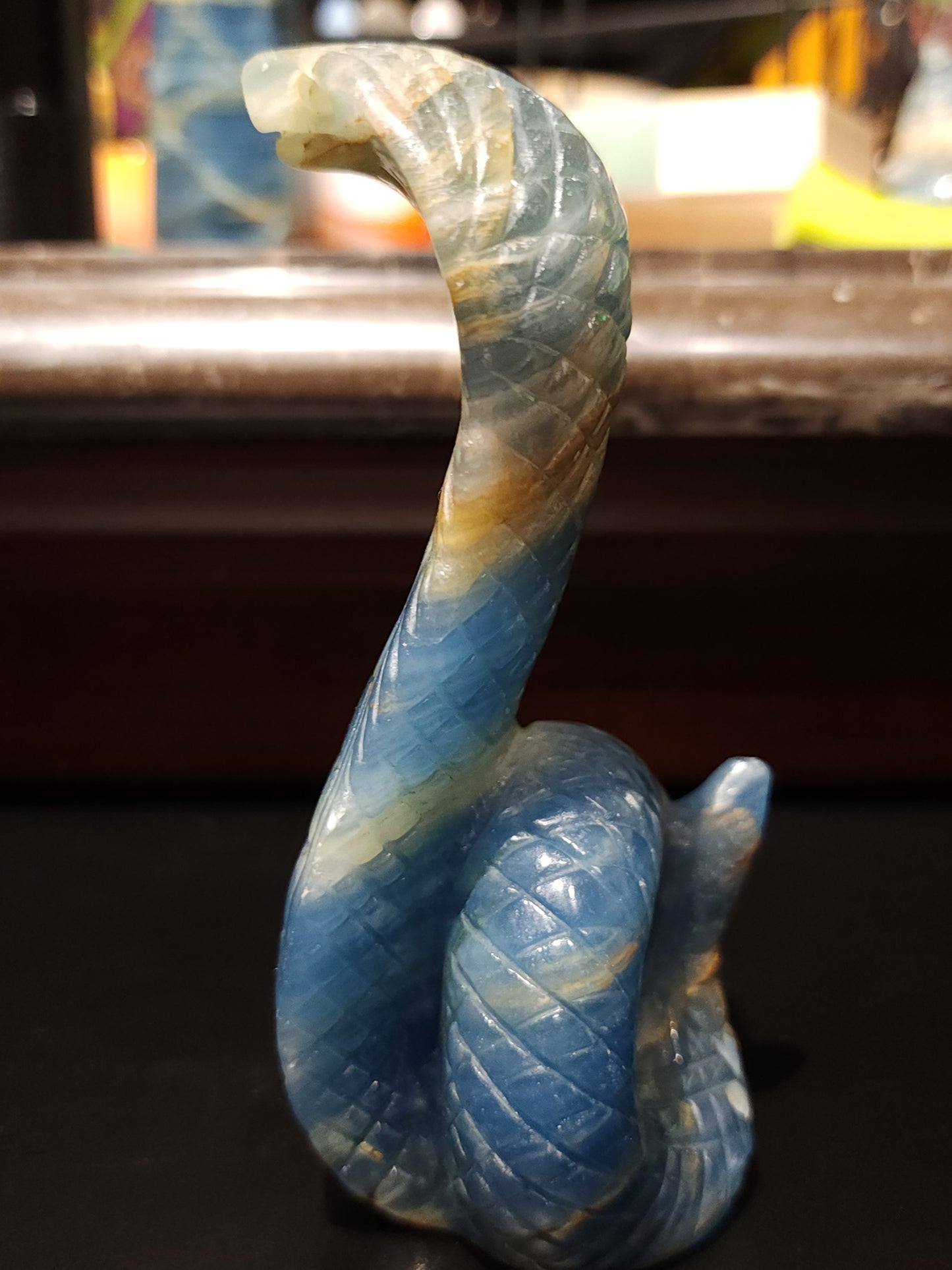 Blue onyx cobra
