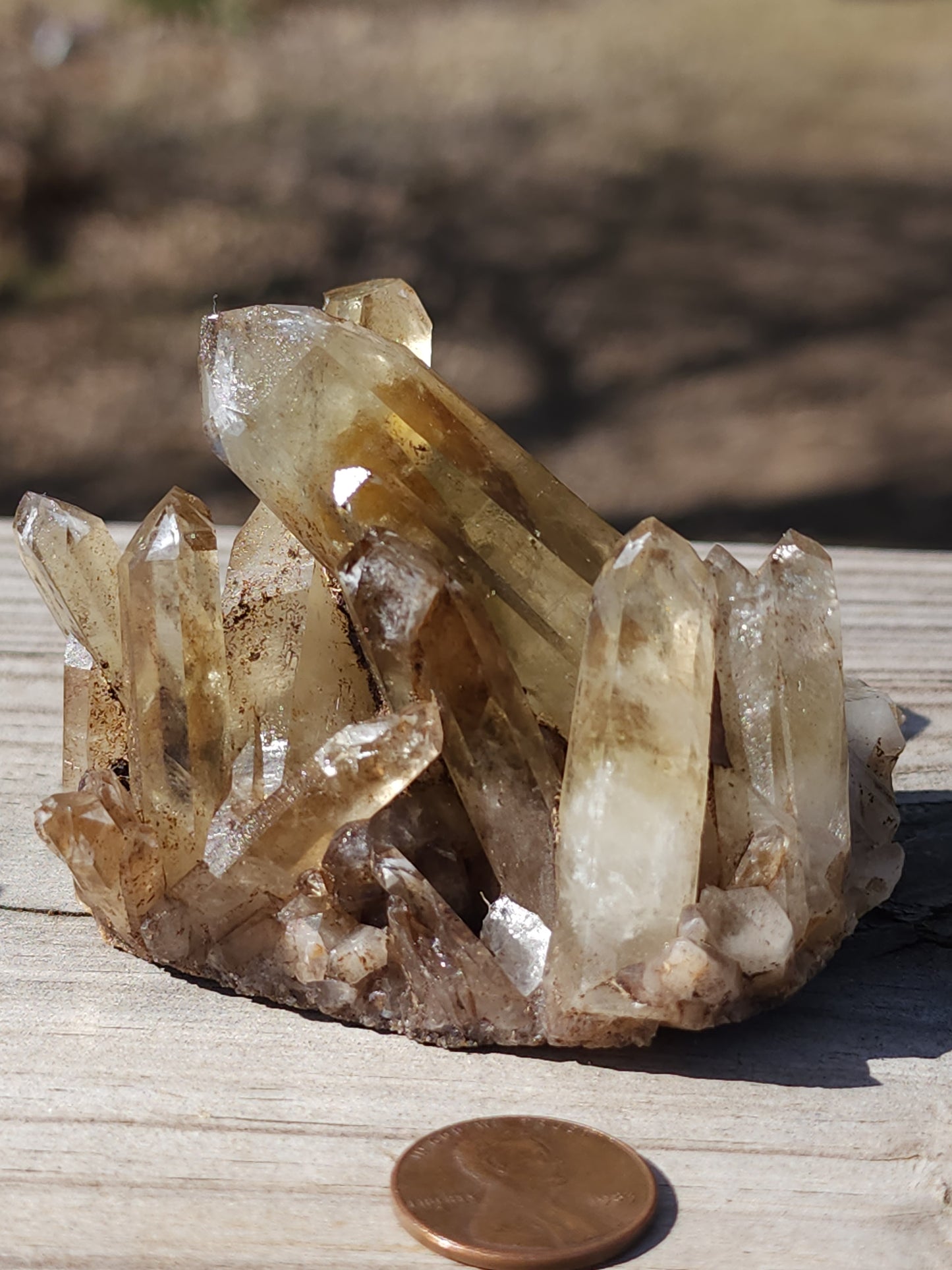 Small Citrine Cluster