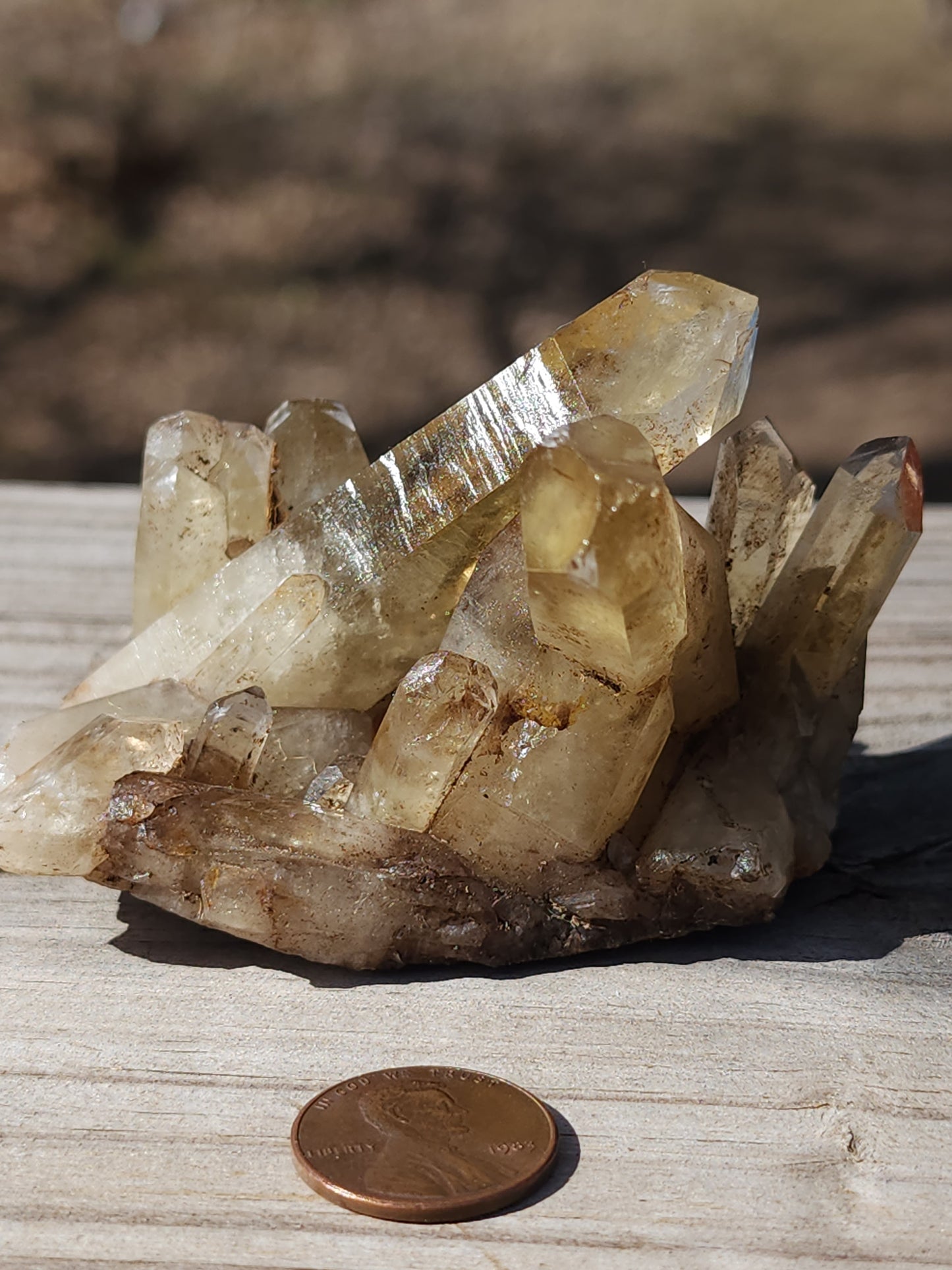 Small Citrine Cluster