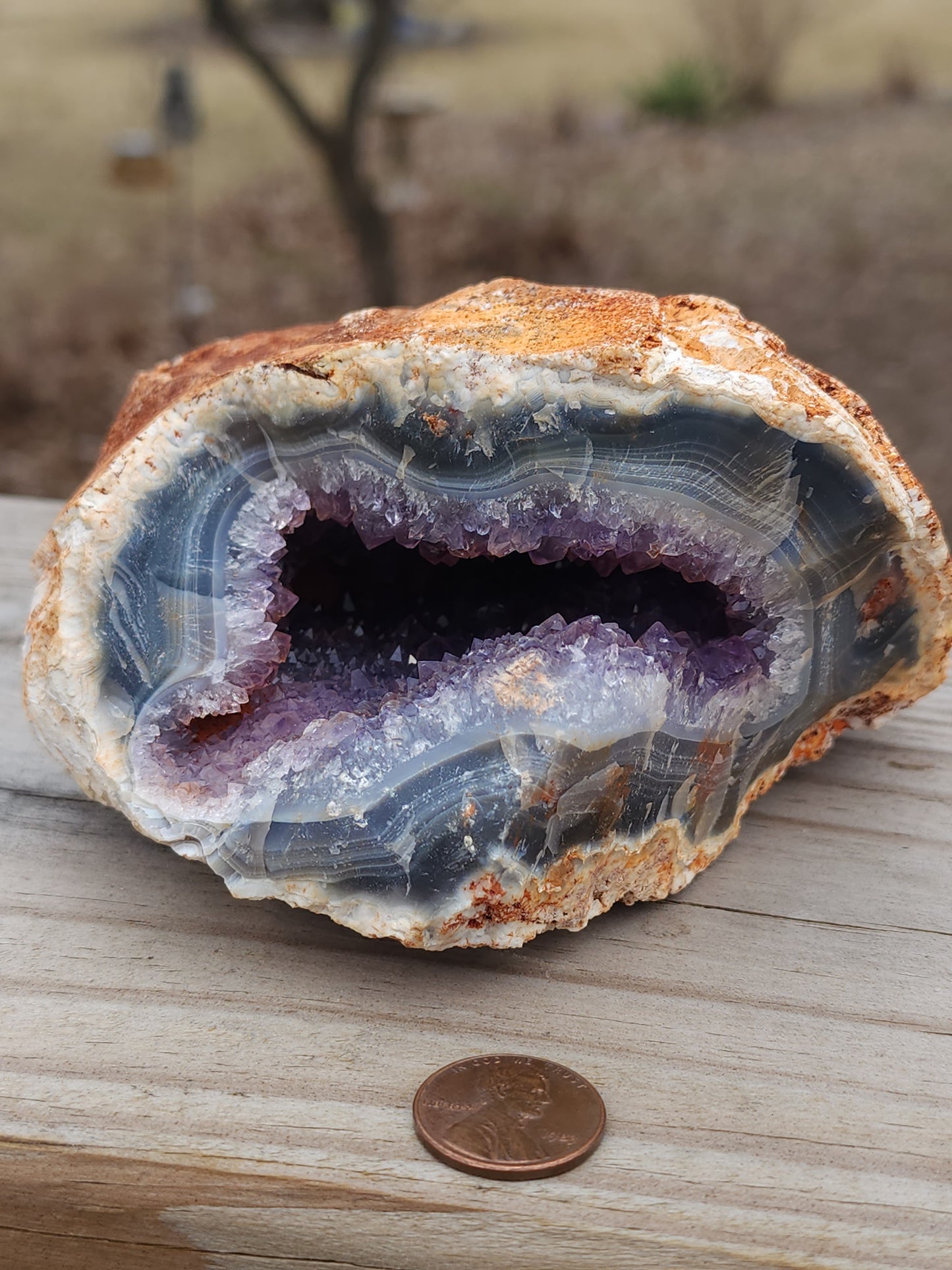 Amethyst geode