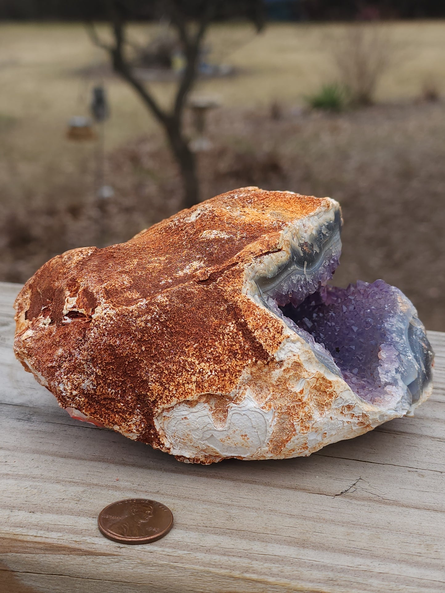 Amethyst geode