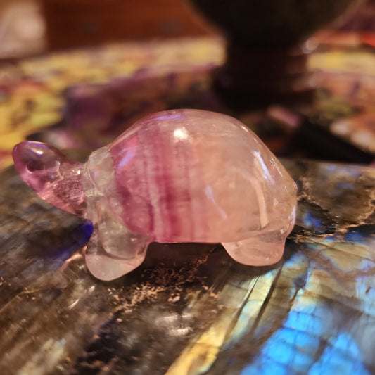 Rainbow 🌈 Fluorite Turtle Carving