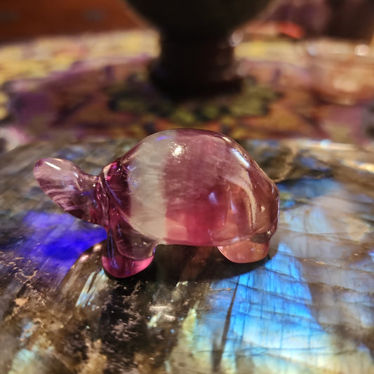 Rainbow 🌈 Fluorite turtle carving