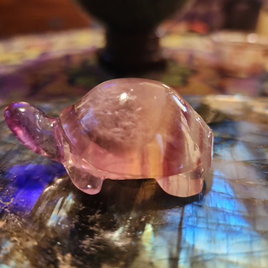 Rainbow 🌈 Fluorite Turtle