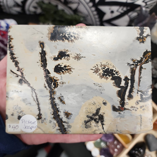 Picture Jasper Slab