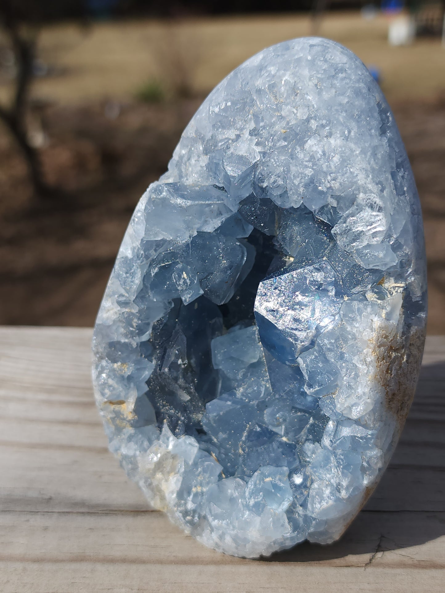 Blue Celestite Freeform