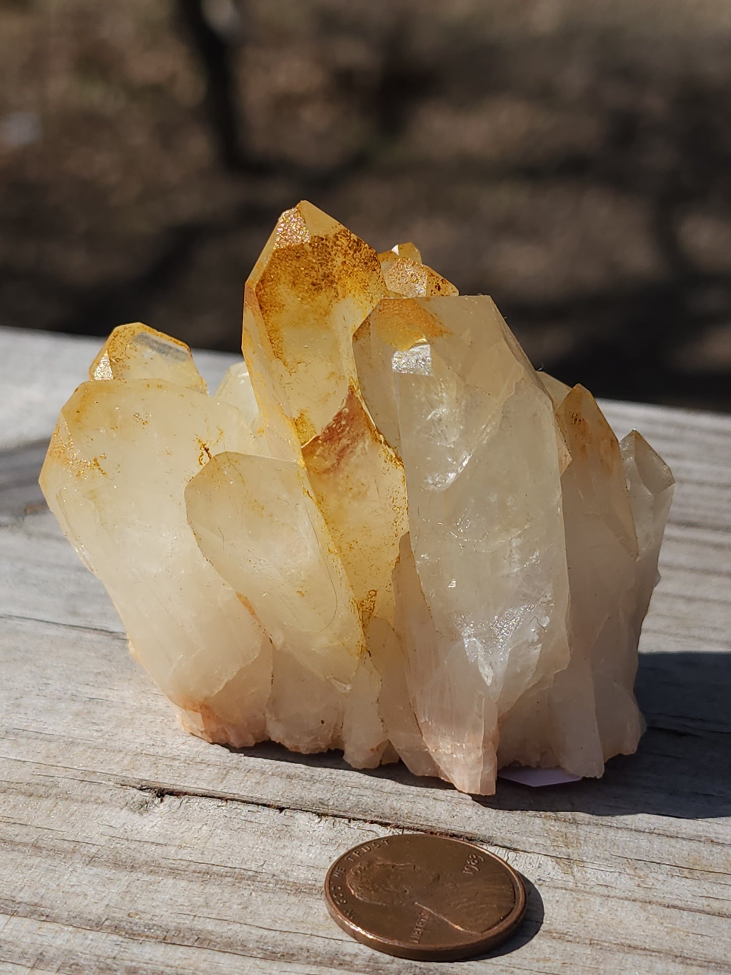 Small Citrine Cluster