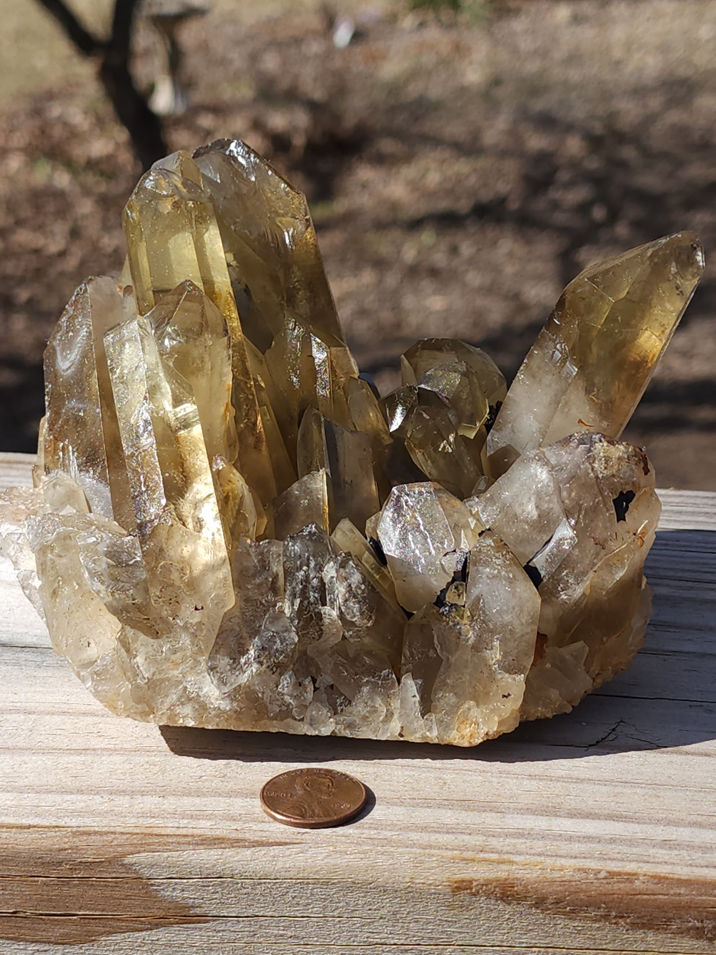 Large citrine cluster