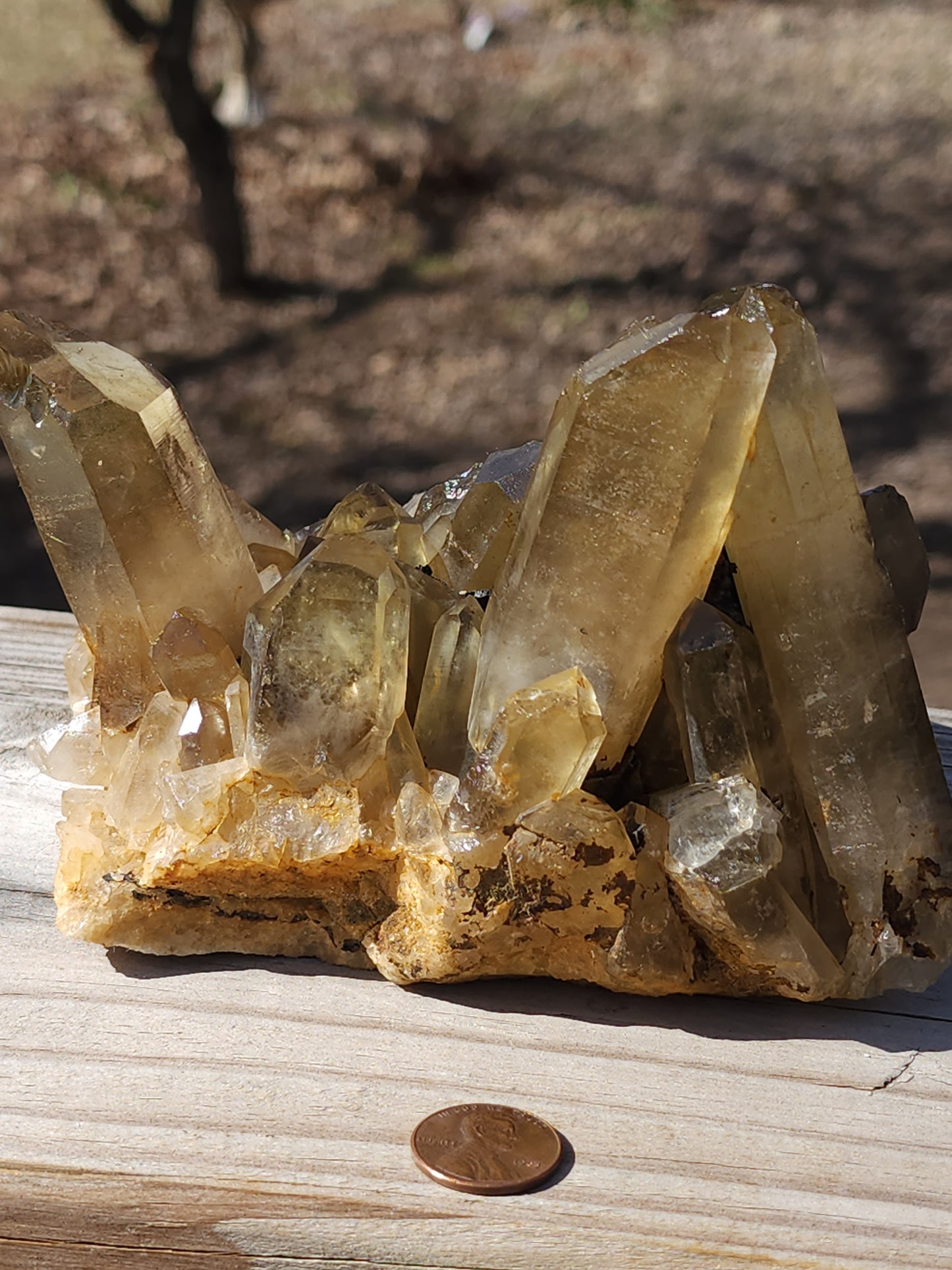 Large citrine cluster